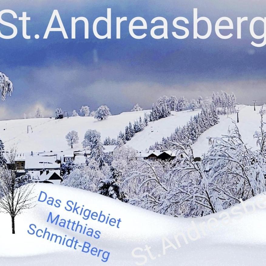 4 Sterne Ferienwohnung 140 Qm Im Haus Tina Sankt Andreasberg Dış mekan fotoğraf